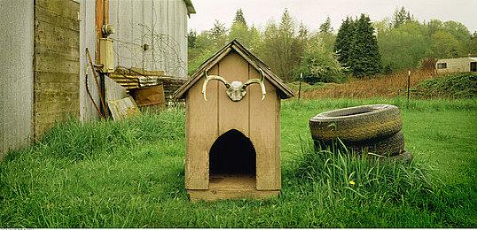 微软：10年时间足以让索尼开发一款抗衡《COD》的游戏